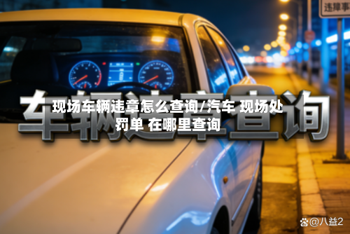 现场车辆违章怎么查询/汽车 现场处罚单 在哪里查询-第3张图片
