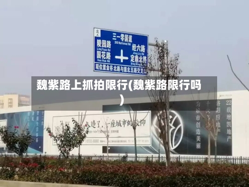 魏紫路上抓拍限行(魏紫路限行吗)