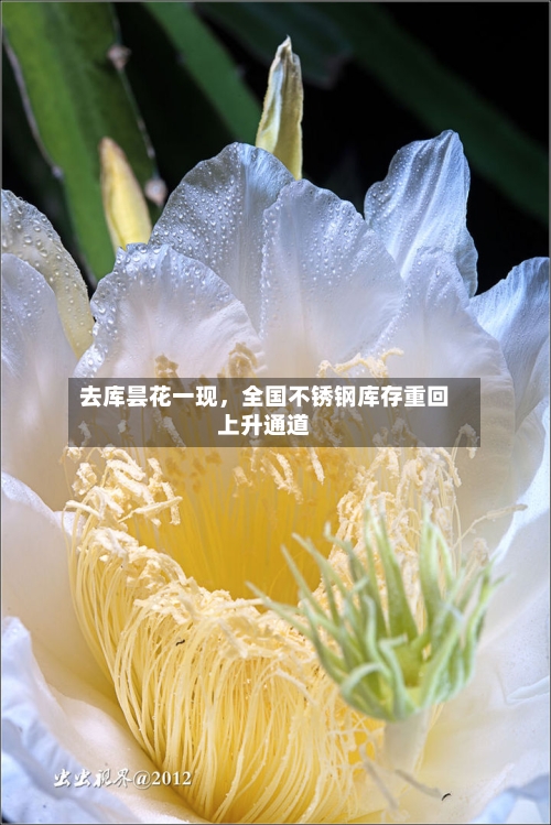 去库昙花一现	，全国不锈钢库存重回上升通道-第2张图片