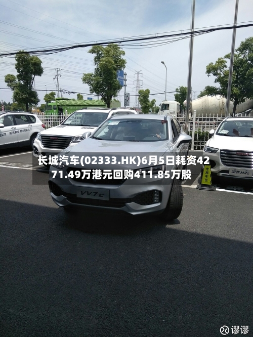 长城汽车(02333.HK)6月5日耗资4271.49万港元回购411.85万股