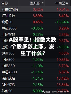 A股罕见！指数大跌个股多数上涨，发生了什么？-第2张图片