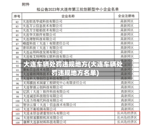 大连车辆处罚违规地方(大连车辆处罚违规地方名单)-第3张图片