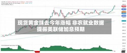 现货黄金抹去今年涨幅 非农就业数据提振美联储加息预期-第3张图片