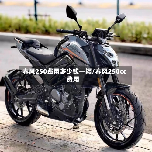 春风250费用多少钱一辆/春风250cc费用